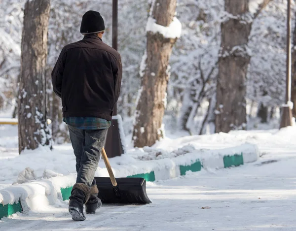 Trabajador limpia la pala de nieve en la naturaleza — Foto de Stock