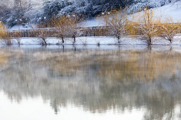 Árboles en el lago en invierno — Foto de Stock