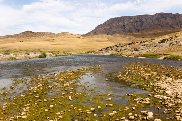 doğada nehir içinde taşlar