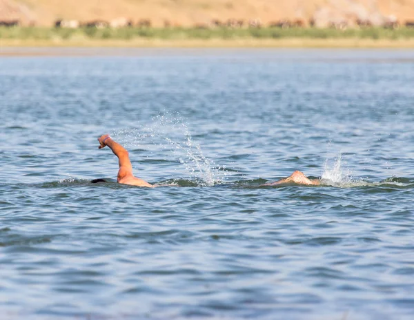 Чоловік плаває в озері — стокове фото