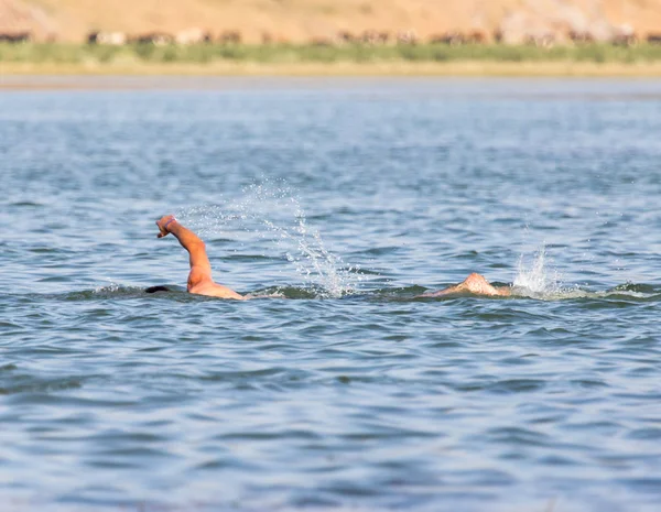 Een man die in een meer zwemt — Stockfoto