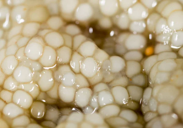 Uova di pesce fresco come sfondo. macro — Foto Stock