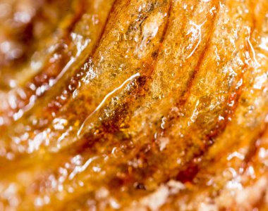 arka plan olarak böcek pupa. Makro