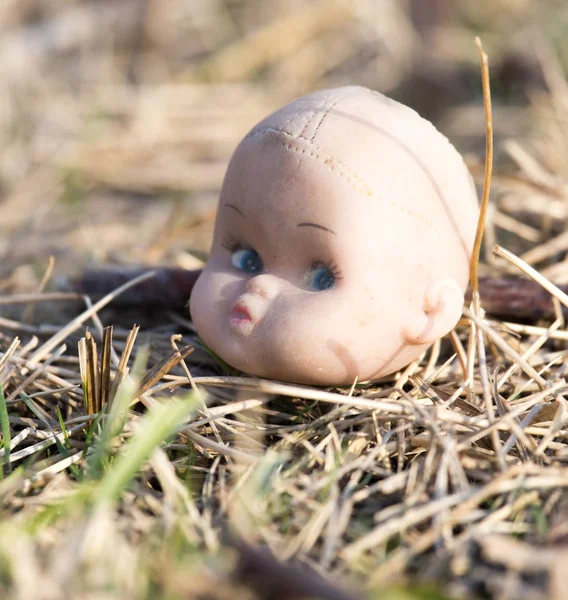 Head doll on the ground — Stock Photo, Image