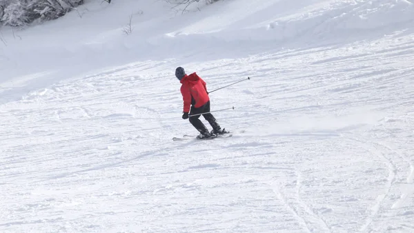 Persone che sciano sulla neve in inverno — Foto Stock