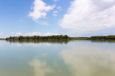 Güzel doğa Syr Darya nehrinde. Kazakistan