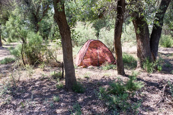 Zelt im Wald auf der Natur — Stockfoto