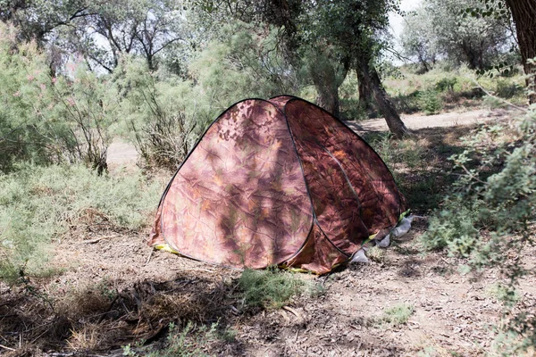 Tienda en el bosque en la naturaleza — Foto de Stock