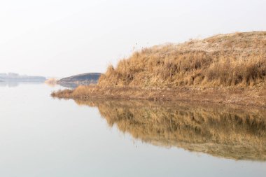 Göl kuru ot ile kumsalda