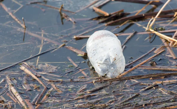 Бутылка в озере, как мусор — стоковое фото