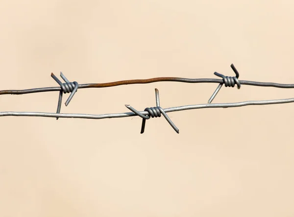 Taggtråd på naturen — Stockfoto