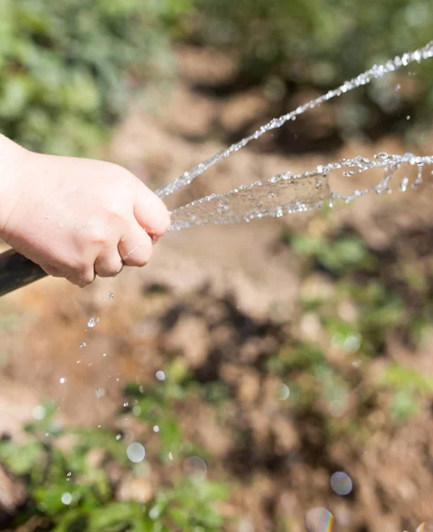 Agua de riego de la manguera al aire libre —  Fotos de Stock