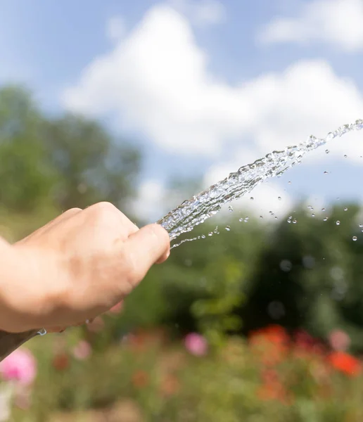 Agua de riego de la manguera al aire libre —  Fotos de Stock