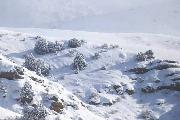 Besneeuwde bergen in Kazachstan — Stockfoto