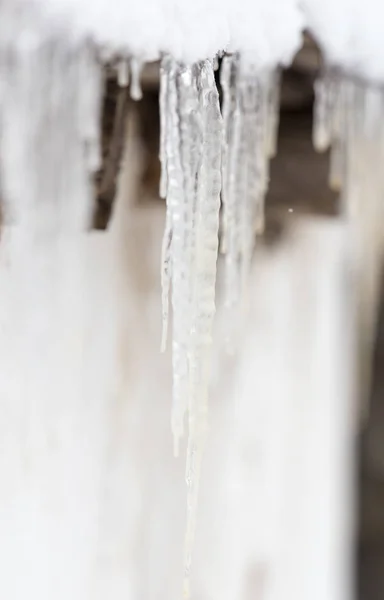 Icicles φύση χειμώνα — Φωτογραφία Αρχείου