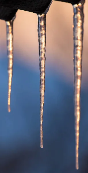 Vinter istappar på solen gryningen — Stockfoto