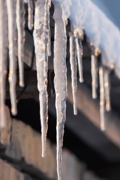 Winter ijspegels aan de dageraad van de zon — Stockfoto