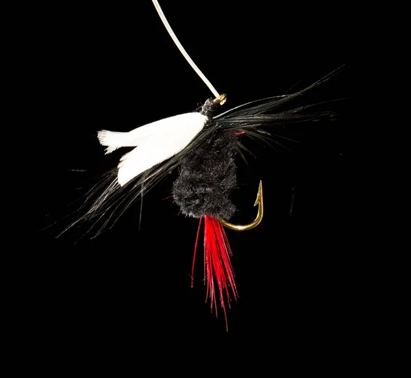 Fliegen, um Fische auf schwarzem Hintergrund zu fangen — Stockfoto
