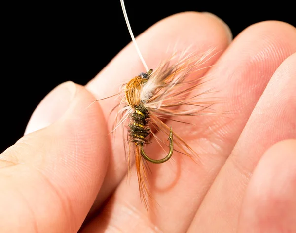 Fly to catch fish in a hand on a black background — Stock Photo, Image