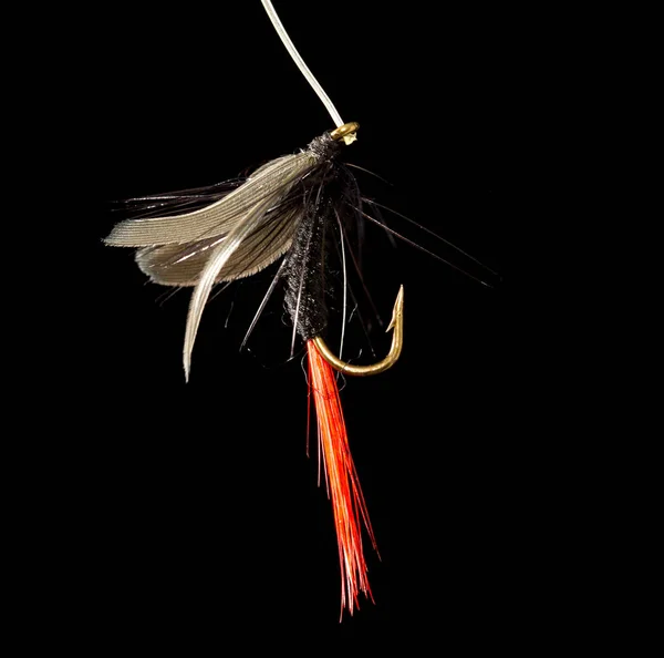 Fly to catch fish on a black background — Stock Photo, Image