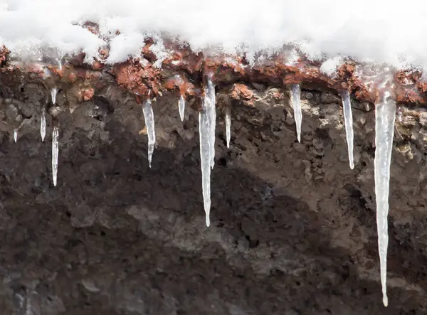 Icicles on winter nature — Stock Photo, Image