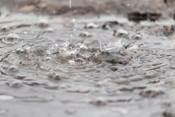 Water splashes in a puddle of rain — Stock Photo, Image