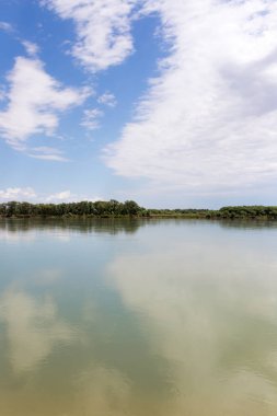 Güzel doğa Syr Darya nehrinde. Kazakistan