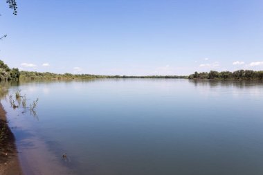 Güzel doğa Syr Darya nehrinde. Kazakistan