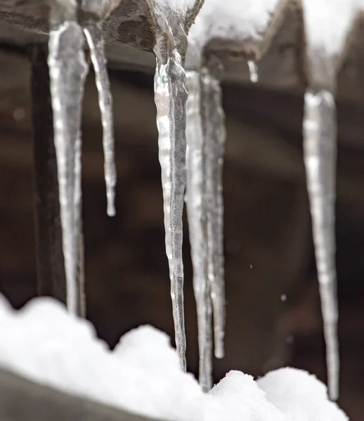 Icicles on winter nature — Stock Photo, Image