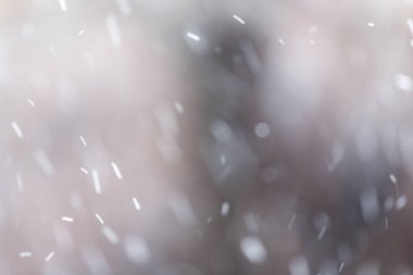 doğa ile kar düştü