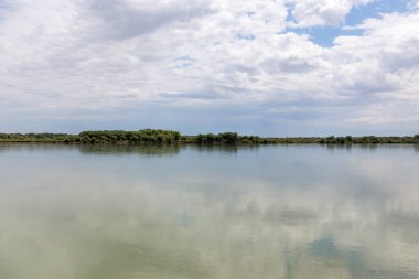 Güzel doğa Syr Darya nehrinde. Kazakistan