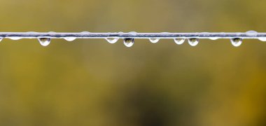 tel üzerinde yağmur damlaları. Makro
