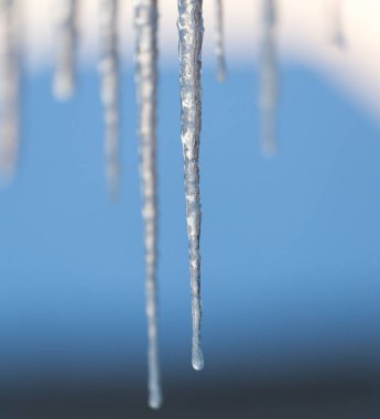 Kış buz sarkıtları güneş şafak üzerinde