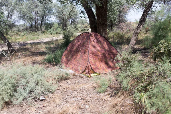 Zelt im Wald auf der Natur — Stockfoto