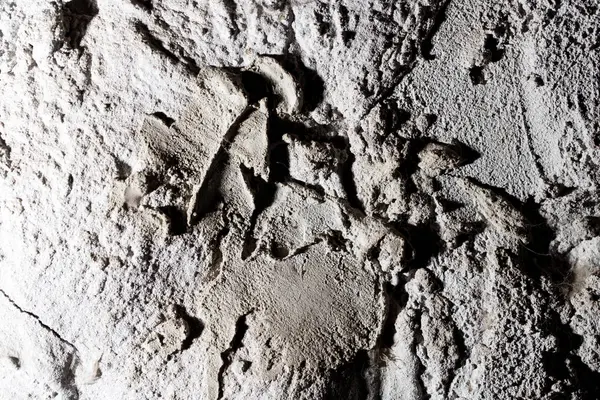 Fond abstrait vieux mur de béton — Photo