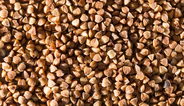 Buckwheat as background — Stock Photo, Image