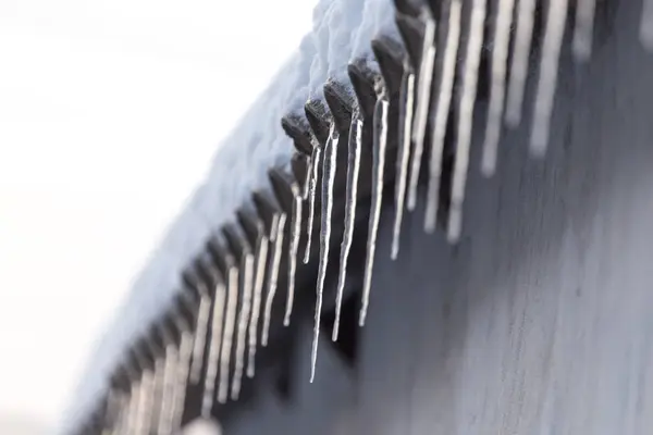 Χειμώνα icicles για την αυγή του ήλιου — Φωτογραφία Αρχείου