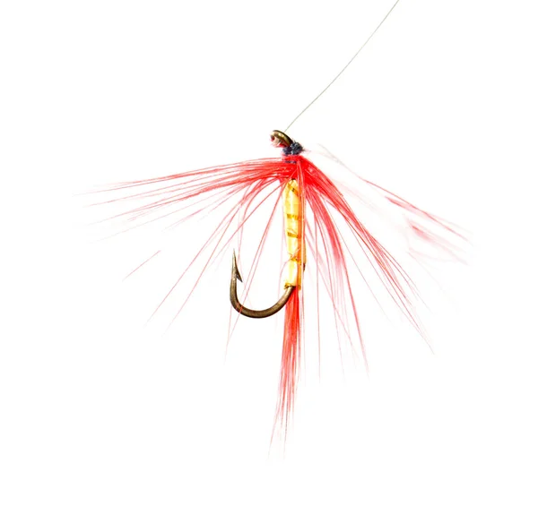 Fly for fishing on a white background — Stock Photo, Image