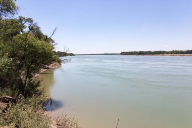Güzel doğa Syr Darya nehrinde. Kazakistan