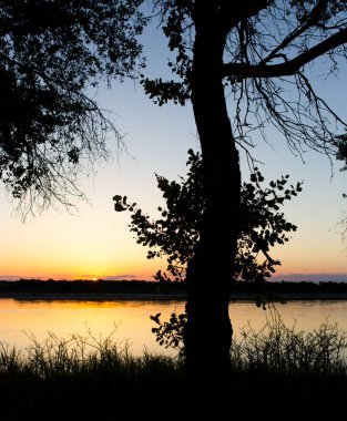 Günbatımı arka planında, nehirdeki ağaç silueti.
