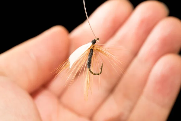 Fliege, um Fische in der Hand auf schwarzem Hintergrund zu fangen — Stockfoto