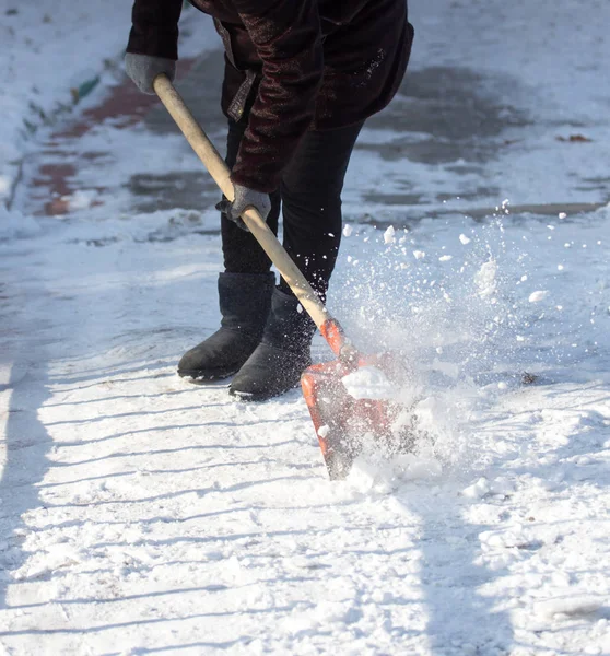 Mujer trabajadora limpia la pala de nieve en la naturaleza — Foto de Stock