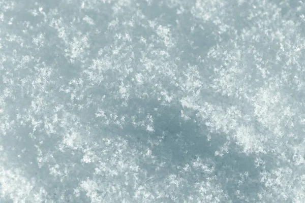 Snow as a backdrop. macro — Stock Photo, Image