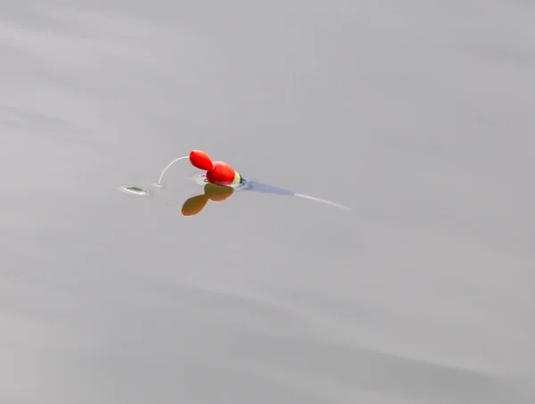 水面に浮かぶ魚を釣るために — ストック写真