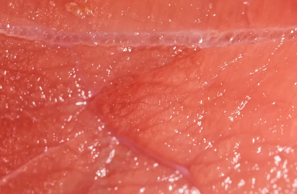 Fresh meat as a background. macro — Stock Photo, Image