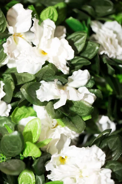 Kunstmatige witte bloemen — Stockfoto