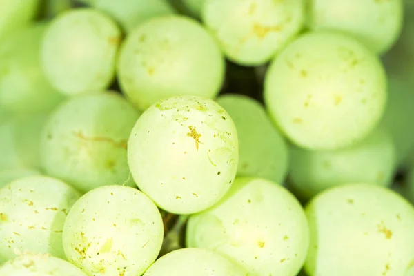 Green grapes on the nature — Stock Photo, Image