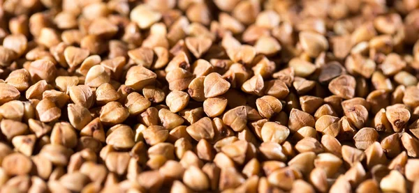 Buckwheat as background — Stock Photo, Image