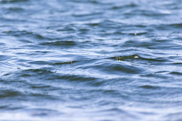 Achtergrond oppervlak van het water — Stockfoto