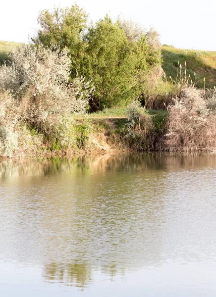 Árboles reflejados en un lago —  Fotos de Stock